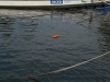 img_2476__2_